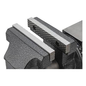 Dielenský zverák VIGOR V6150N (3)